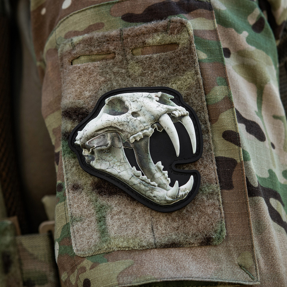 Patch Old Tiger - Pilt 11